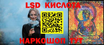 стафф Камышлов