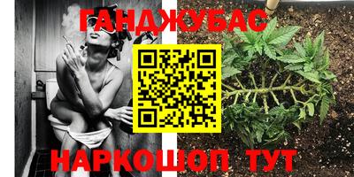 стафф Камышлов