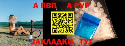 стафф Камышлов