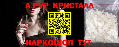 стафф Камышлов