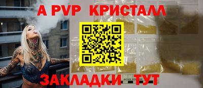 стафф Камышлов